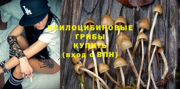 ПСИЛОЦИБИНОВЫЕ ГРИБЫ Волосово
