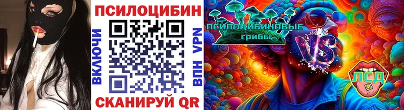 купить  сайты  Северск  Псилоцибиновые грибы GOLDEN TEACHER 